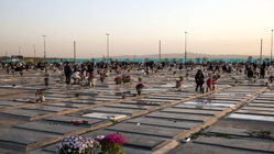بهشت زهرا در آستانه پر شدن کامل؛ فقط یک قطعه برای دفن روزانه باقی مانده