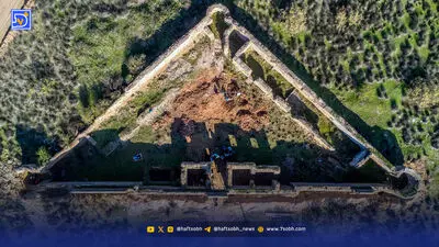 نرها زیاد شدند؛ گوزن‌ها به جان هم افتادند