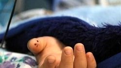 فوت دانش آموز زرندی در زنگ ورزش چه بود؟