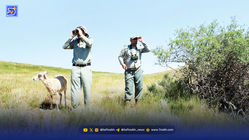 محیط بانان هنوز ‌دست‌شان برای دفاع بسته است