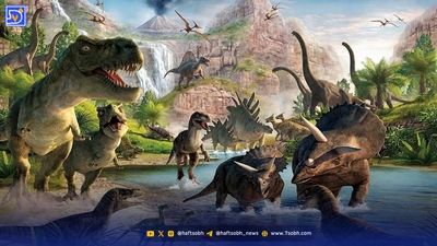 دستاورد دانشمندان تایوانی؛ درمان ریزش مو در ۲۰ روز با یک سرم ساده