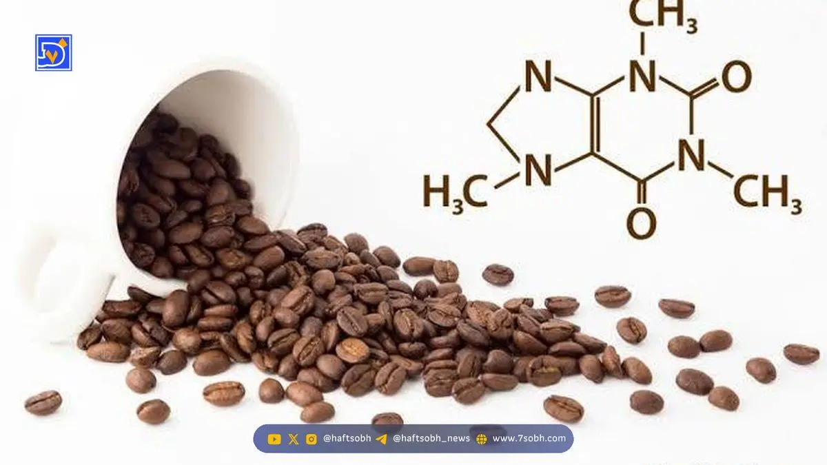 نکته مهم درباره کافئین که تا الان نشنیده بودید