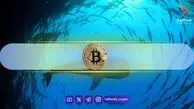 تغییر مهم در رفتار نهنگ‌های بیت کوین؛ کریپتوکوانت سیگنال صعودی داد
