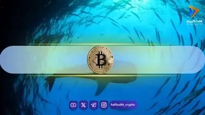 تغییر مهم در رفتار نهنگ‌های بیت کوین؛ کریپتوکوانت سیگنال صعودی داد
