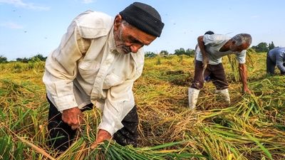 افزایش 20 درصدی آب در تهران | صدور هشدار کمبود آب