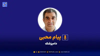 شهرداری با سگ‌های ولگرد چه می‌کند؟