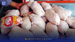 پیش‌بینی کاهش قیمت مرغ تا هفته آینده