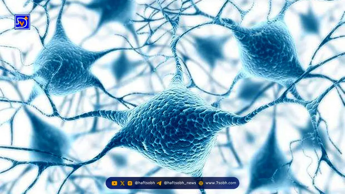 عجیب اما واقعی؛ دانشمندان سلول‌های پیر را دوباره جوان کردند!