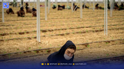 سیاستی که ناجی آب نبود