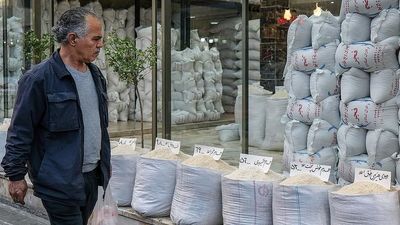 قصه برنج؛ از هخامنشیان تا بازار مولوی  