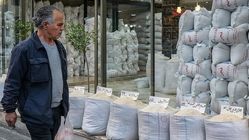 قیمت برنج با عرضه محصول جدید و واردات کاهش می‌یابد؟