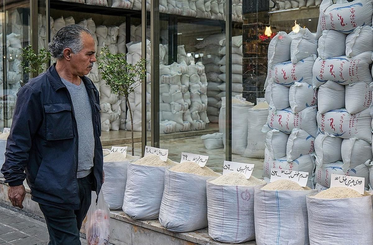 قیمت برنج با عرضه محصول جدید و واردات کاهش مییابد؟
