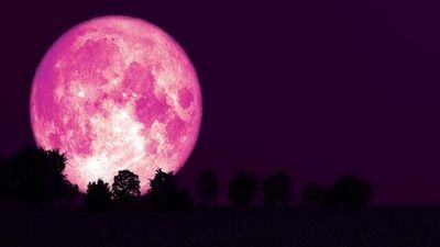 ماه در این شب صورتی می‌شود! پدیده عجیب و غریب آسمانی