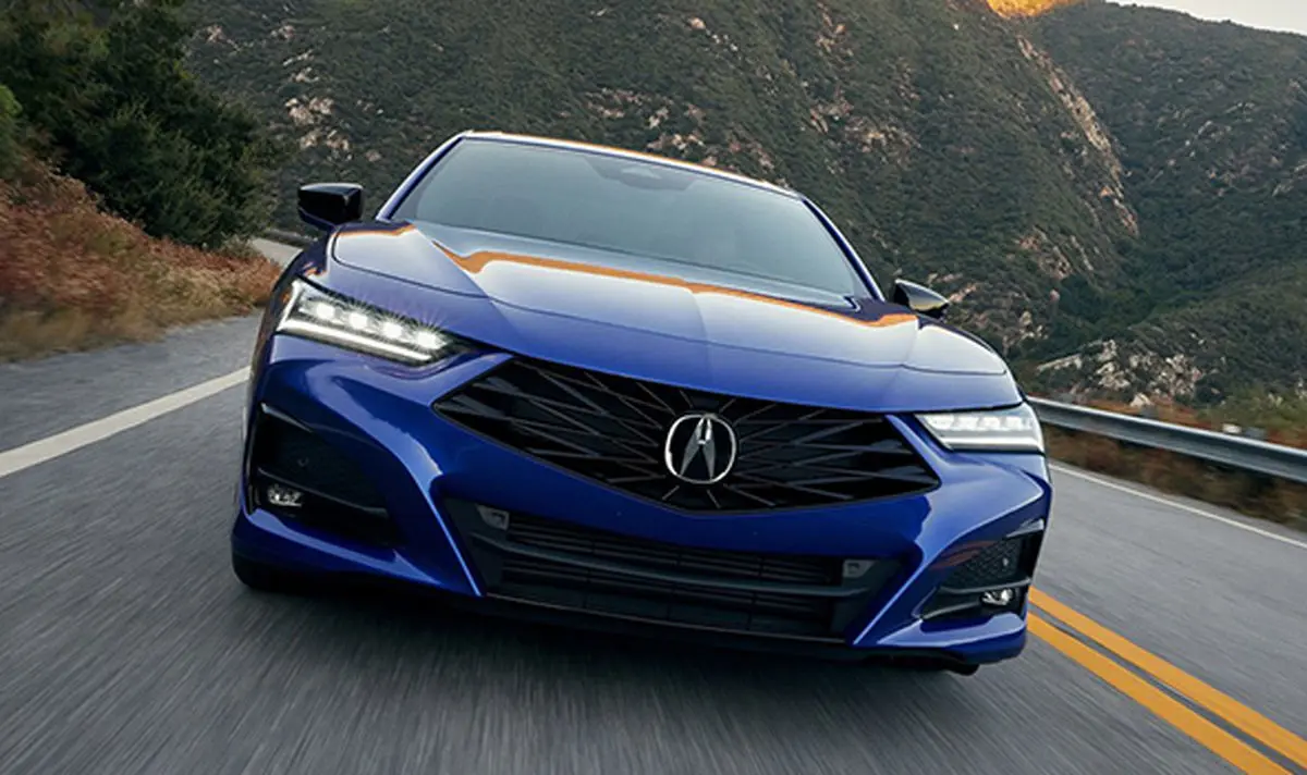 چشم غره آکورا!