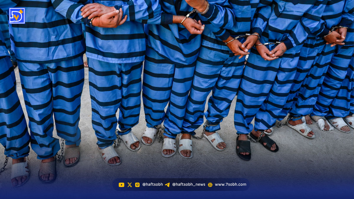 پایان جولان سارقان| سارقان گفتند این کارها را بکنید تا در دام ما نیفتید