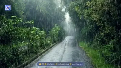 زمان بارش های پاییزی در تهران اعلام شد / از این روز با آلودگی هوا خداحافظی کنید