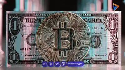 مدیرعامل کریپتوکوانت از ظهور یک سیگنال صعودی برای بیت کوین خبر داد