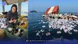 سرنوشت قانونی کالاهای رهاشده در آب‌های مرزی چیست