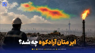تورهای گاوبانگی؛ تهدیدی برای آرامش مرال‌ها