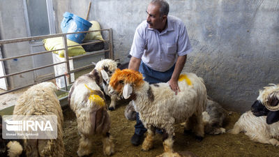 خداحافظی رسمی با دلار ۴۲۰۰ تومانی