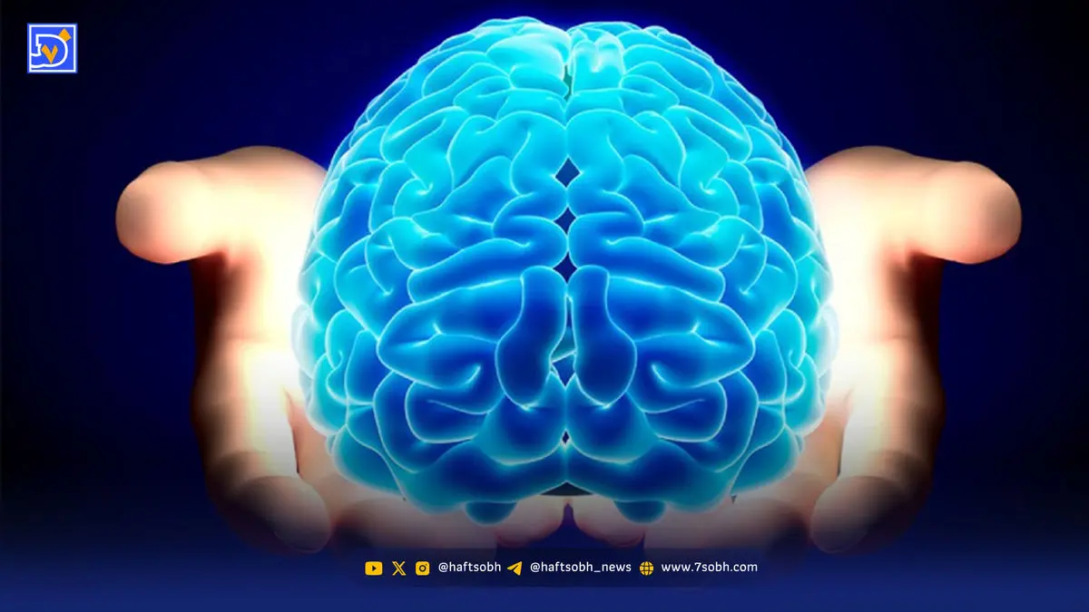 چرا مغز می‌گوید «حوصله ندارم»