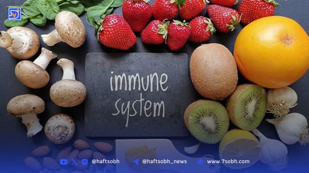 ۴ خوراکی شگفت‌انگیز برای تقویت فوری سیستم ایمنی