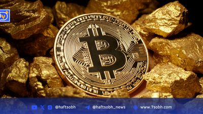 چگونه کلاهبرداری کریپتویی را گزارش کنیم؟