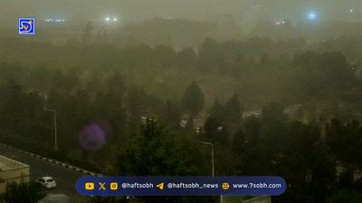 افزایش نسبی دما برای امروز و فردا
