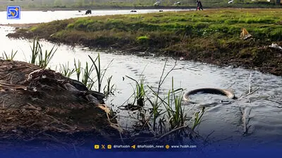 آنچه پس از برداشت، به طبیعت تحمیل می‌شود