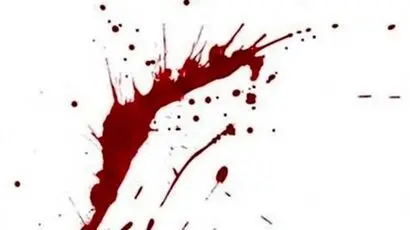  واکنش جانشین فرمانده فراجا به قتل حمیدرضا رجب‌زاده 