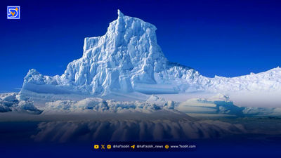 خرس‌های قطبی نان آور های حیوانات قطبی