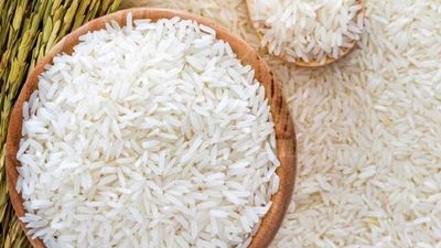 روند صعودی قیمت برنج؛ چرا برنج کیلویی ۳۵۰ هزار تومان شد؟