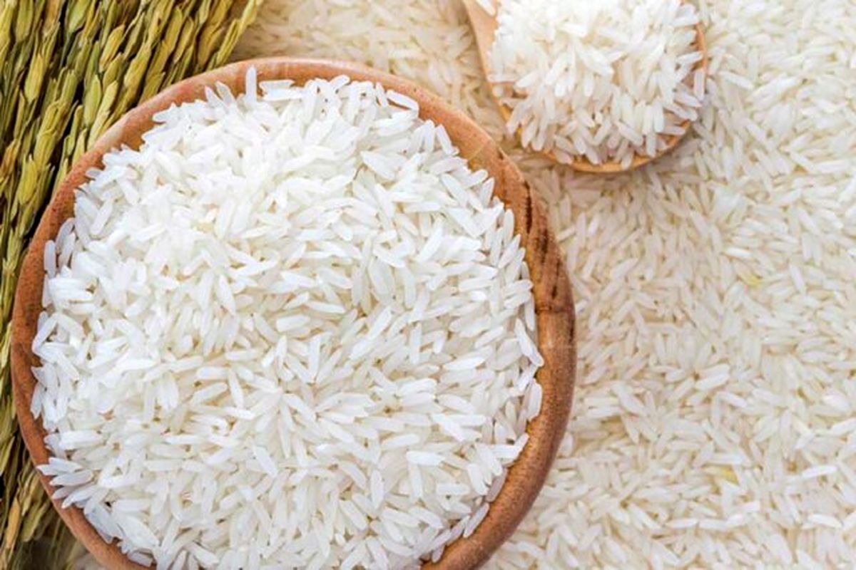 
قیمت برنج ایرانی تا دو هفته آینده کاهش می‌یابد
