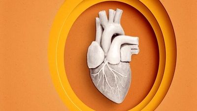 بیوگرافی هدی زین العابدین و ازدواجش+عکس های خانوادگی و فیلم ها