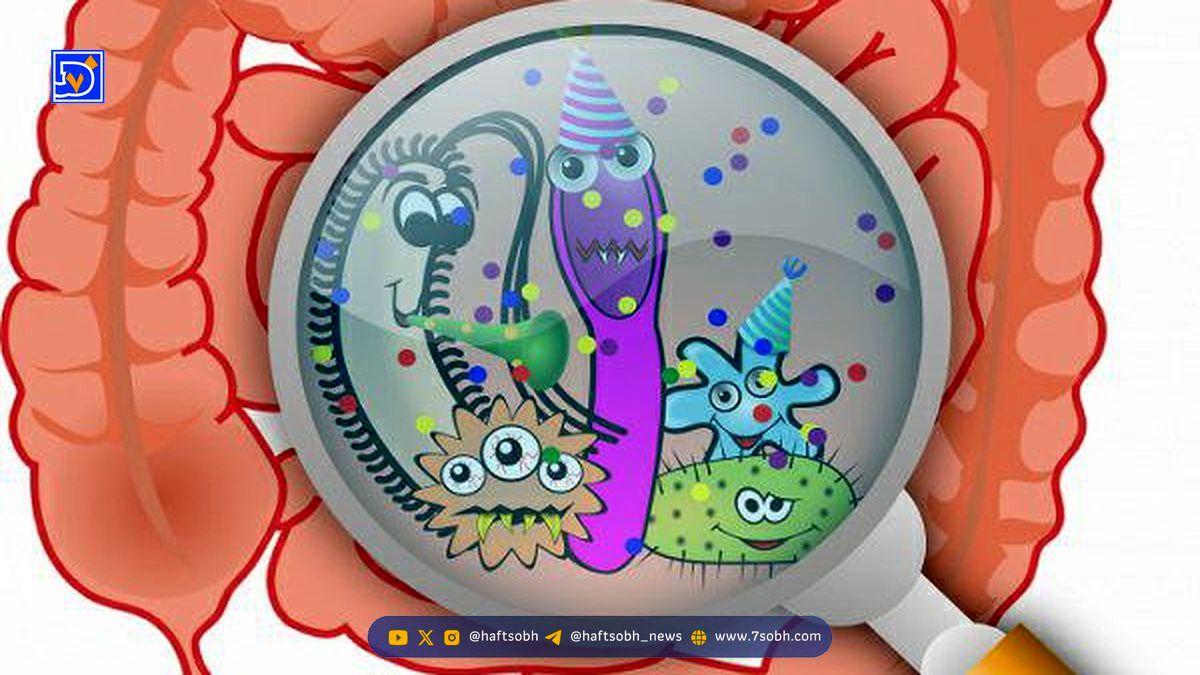 تاثیر سلامت روده بر لاغری