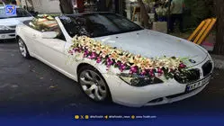 کارتخوان‌؛ روشن در عروسی، خاموش در عزا