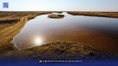 بازگشت هلیا و و توله‌هایش به خانه امن