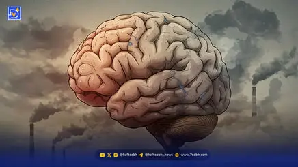 تاثیر آلودگی هوا بر مغز چیست؟