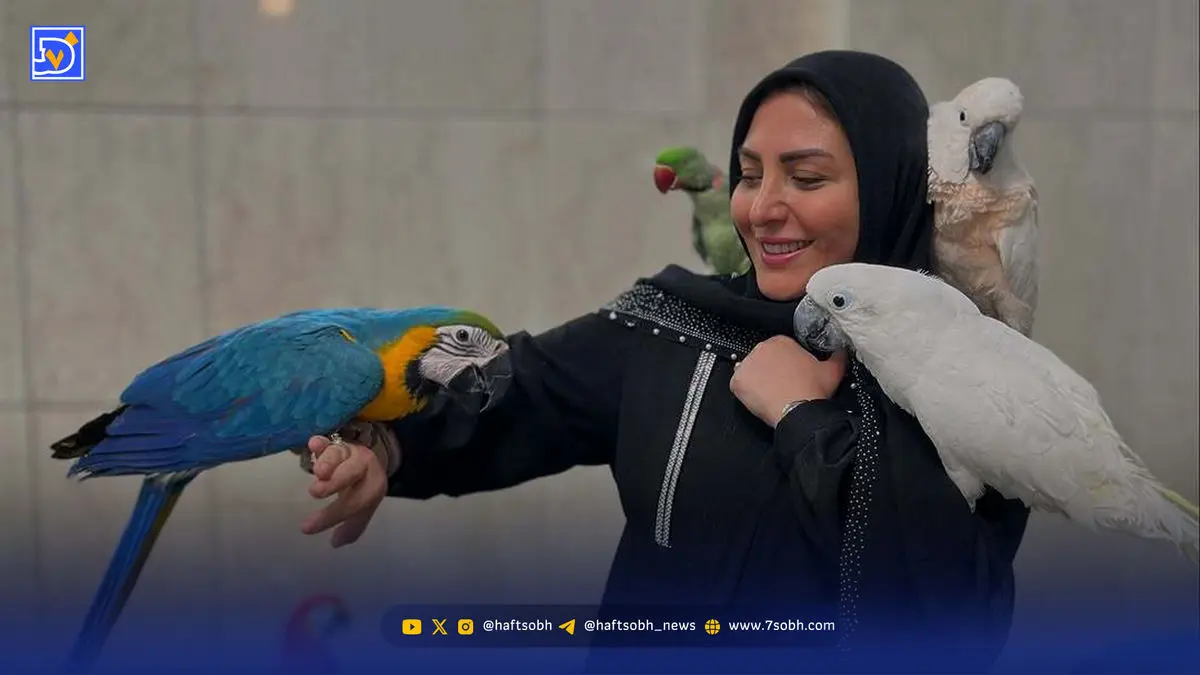 پوشش متفاوت المیرا شریفی مقدم بیرون از صداوسیما