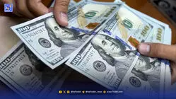سه تراستی ناپدید شدند