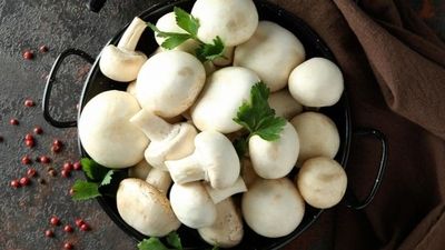 ویزای بهروز تابانی برای مستر المپیا صادر شد 