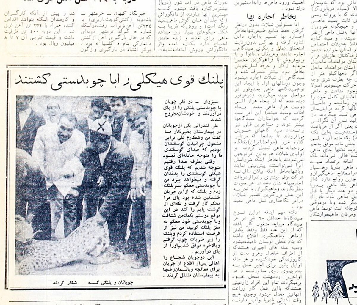 تراژدیلنج وپلنگ
