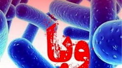 
هشدار نسبت به بیماری‌های گوارشی و وبا در فصل گرما
