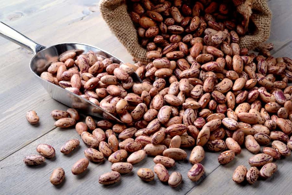 قیمت لوبیاچیتی از نیم میلیون گذشت!