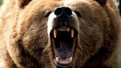 رفاقت عجیب کودک زاهدانی با خرس سیاه بلوچی!