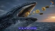  نهنگ ۱۵ ساله بیت‌کوین بیدار شد؛ ۴۰ میلیون دلار BTC جابه‌جا شد!