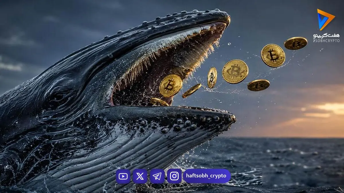  نهنگ ۱۵ ساله بیت‌کوین بیدار شد؛ ۴۰ میلیون دلار BTC جابه‌جا شد!