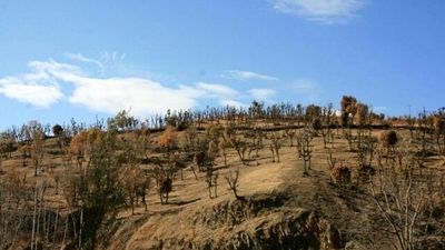هواشناسی ایران امروزیکشنبه ۲۹ تیرماه ۱۴۰۴