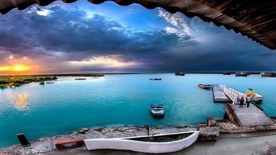هتل‌هایی برای کرم‌ها | تبدیل زباله به گنج در آمستردام