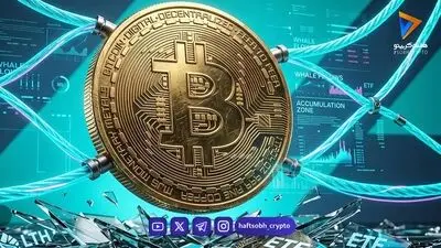 خرید بیش از ۱۱ هزار بیت کوین توسط یک نهنگ ناشناس در میانه ریزش‌ها